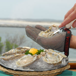 Fresh Local Oysters